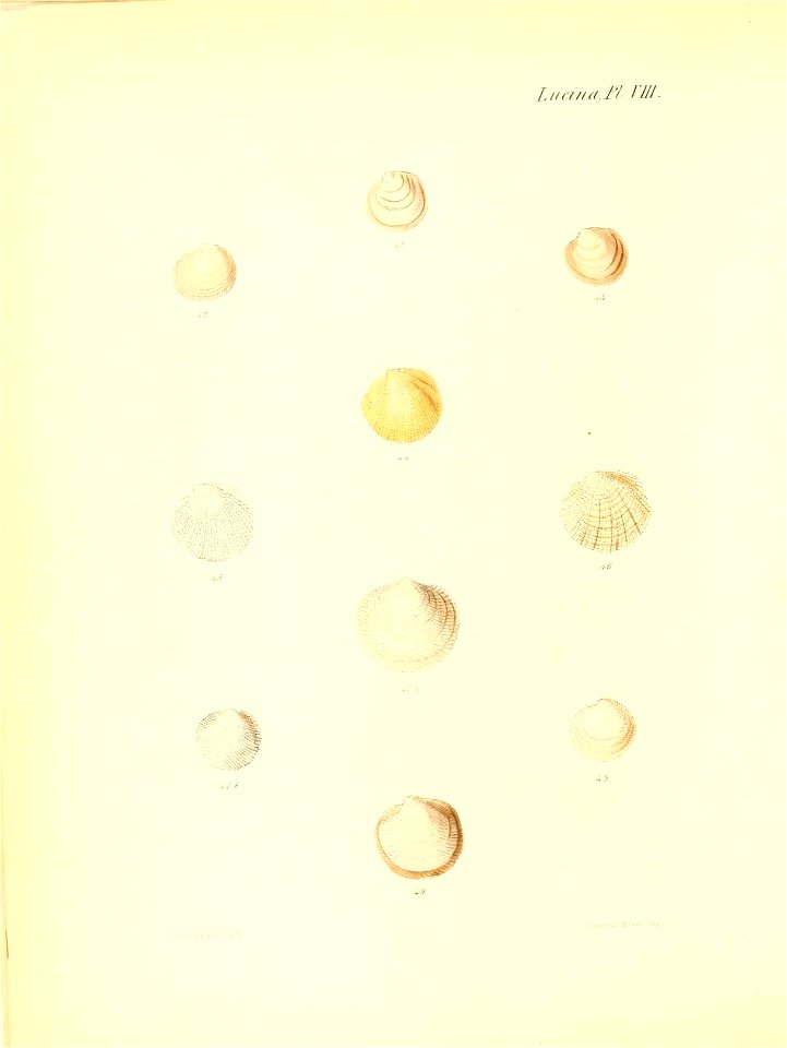 n291_w1150