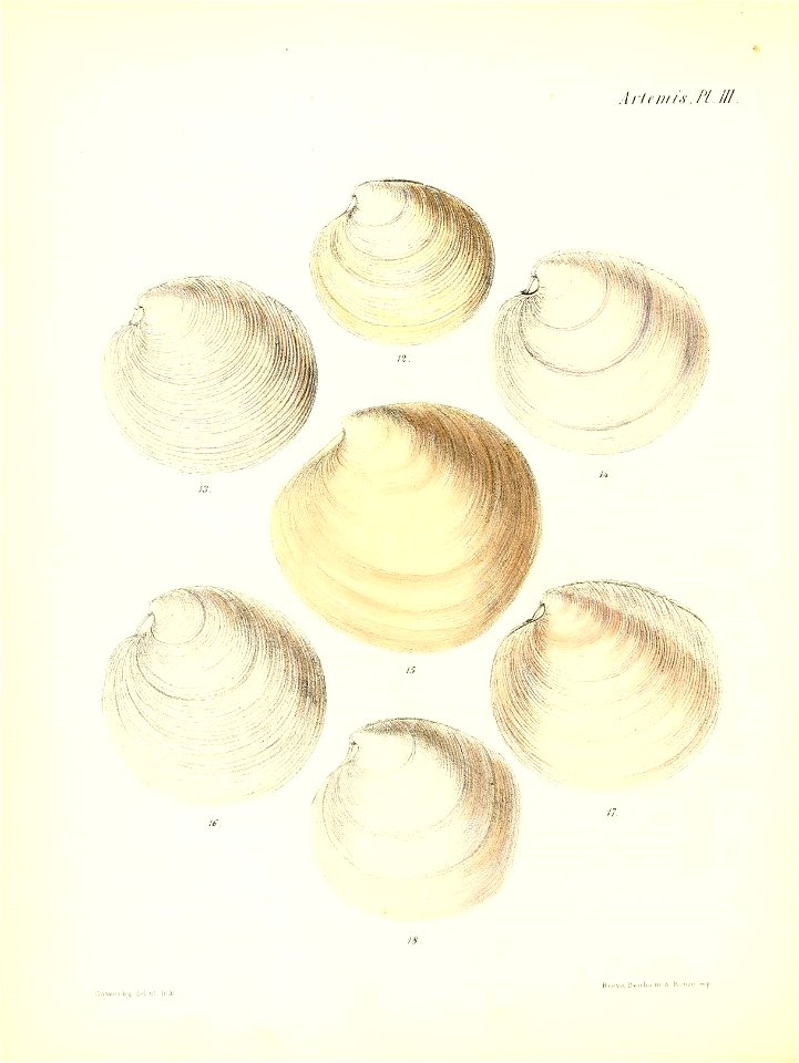 n227_w1150
