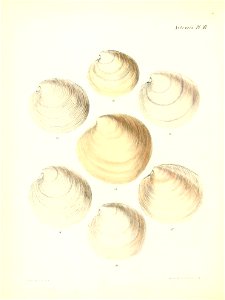 n227_w1150