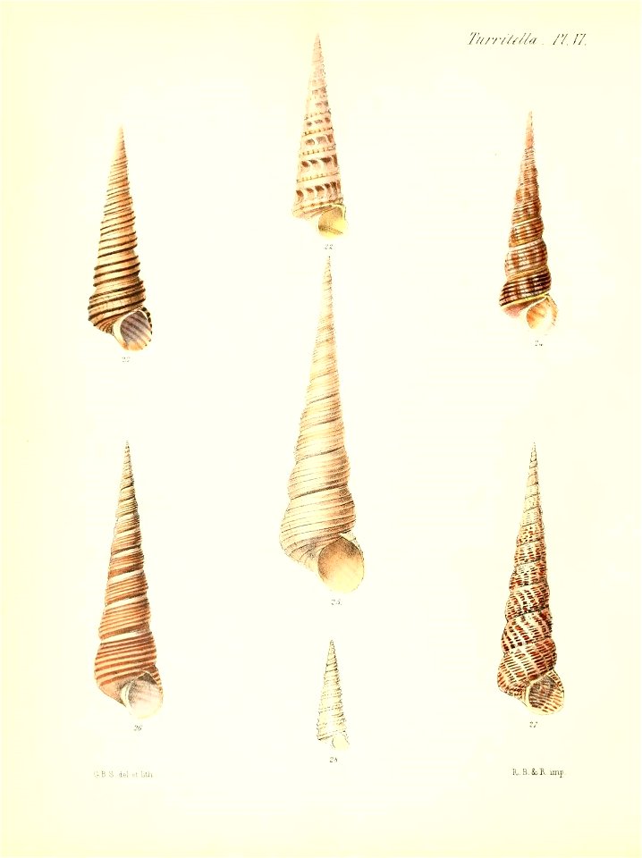 n589_w1150