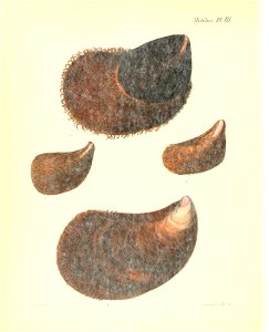 n373_w1150