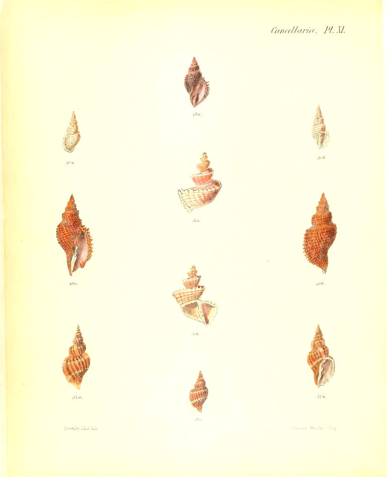 n169_w1150