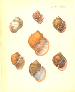n105_w1150