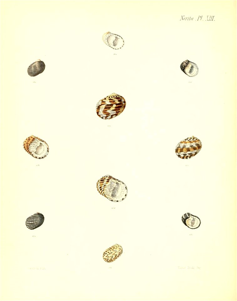 n479_w1150