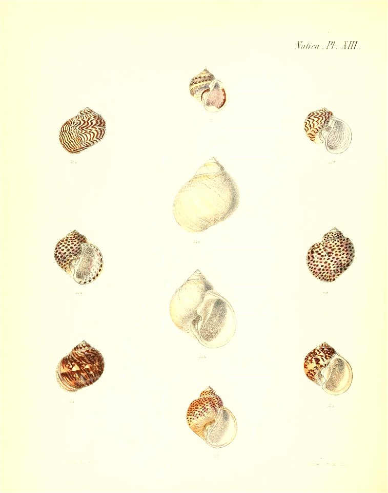 n287_w1150
