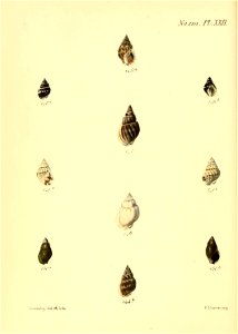 n619_w1150
