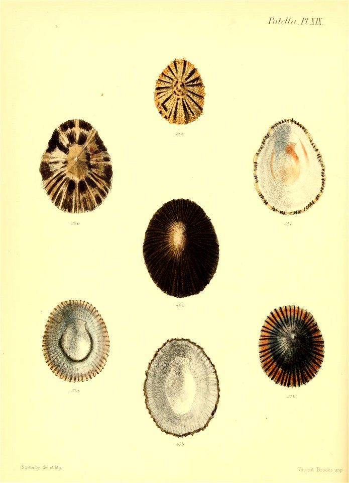n435_w1150
