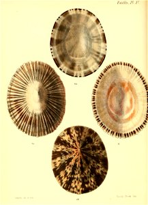 n375_w1150