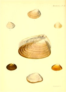 n307_w1150
