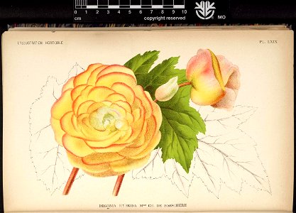 n388_w1150