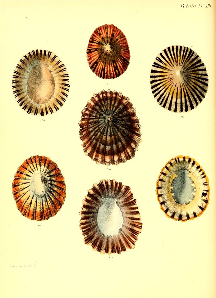 n411_w1150
