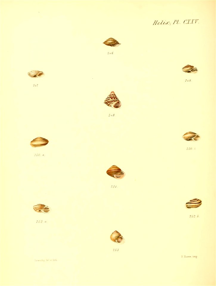 n519_w1150