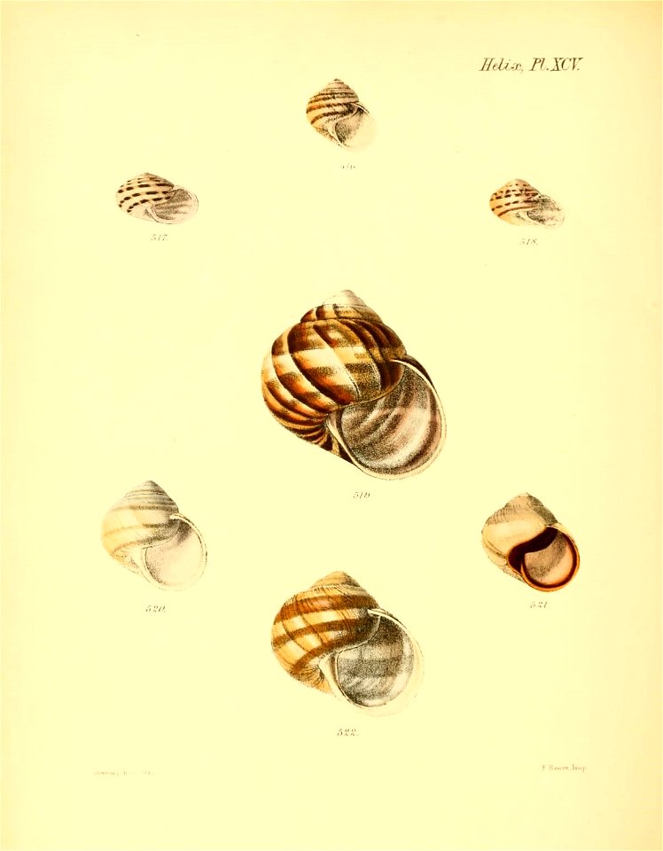 n387_w1150