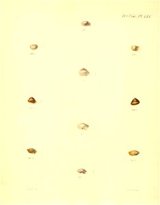 n267_w1150
