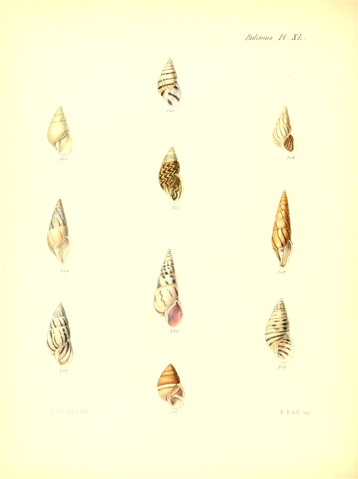 n169_w1150