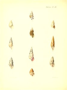 n169_w1150