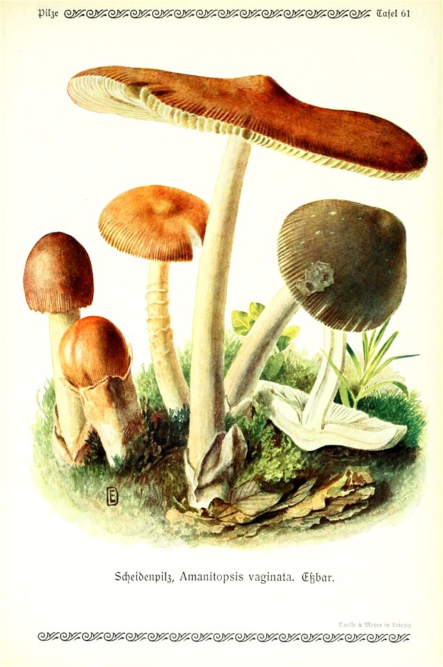 n136_w1150