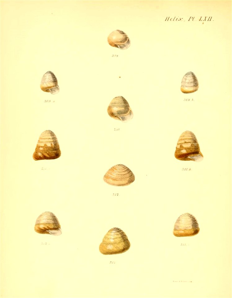 n255_w1150
