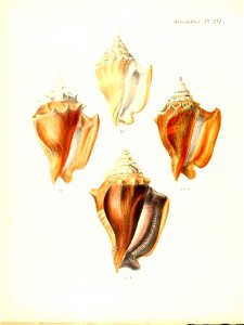 n501_w1150