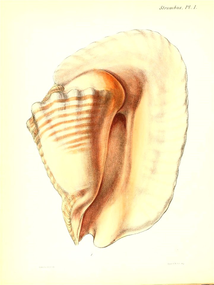 n441_w1150