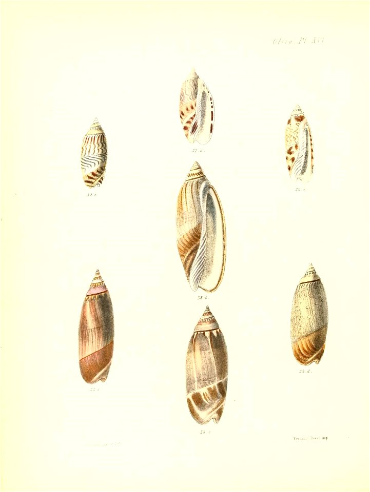 n377_w1150