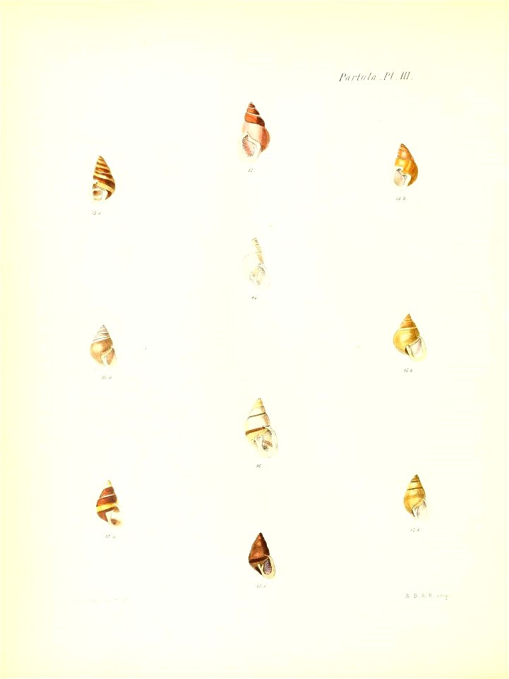 n179_w1150