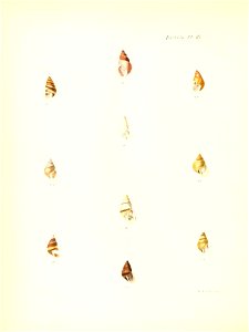 n179_w1150