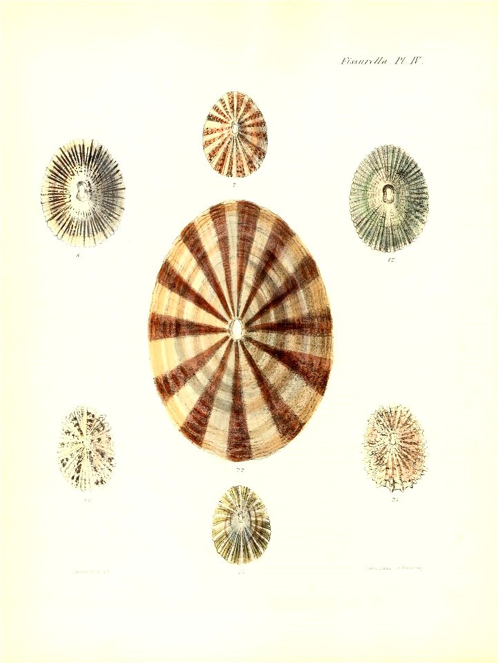 n115_w1150