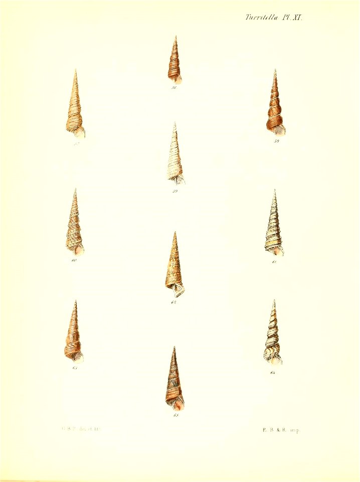 n609_w1150