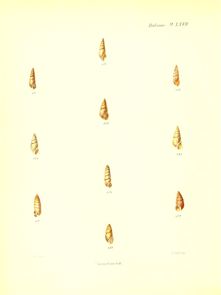 n277_w1150