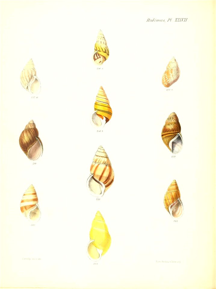 n157_w1150