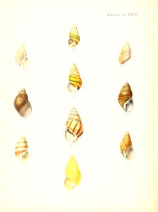 n157_w1150