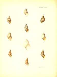 n97_w1150