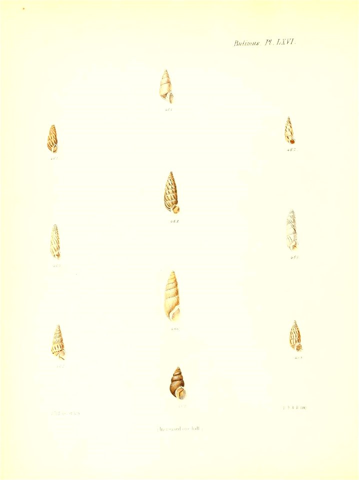 n273_w1150