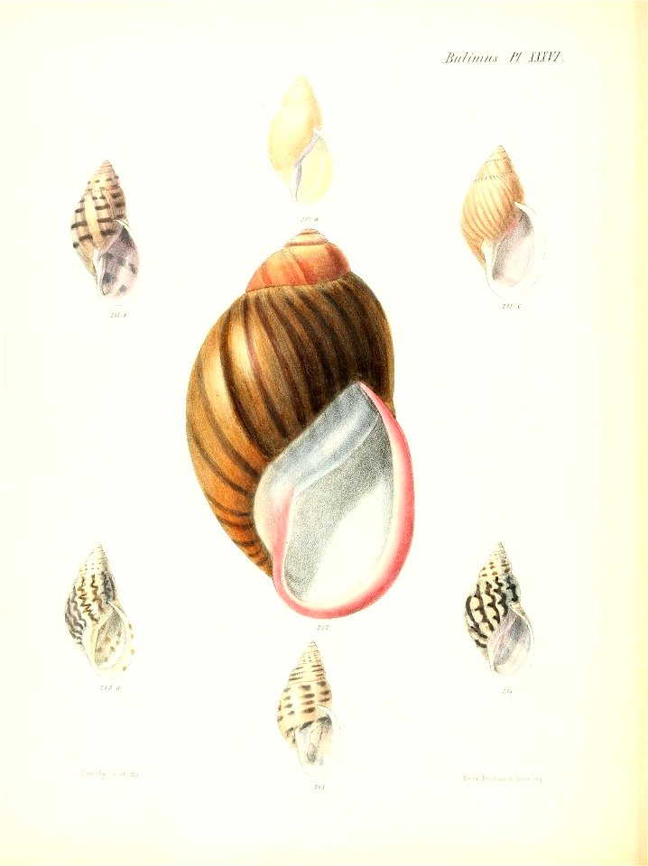 n153_w1150