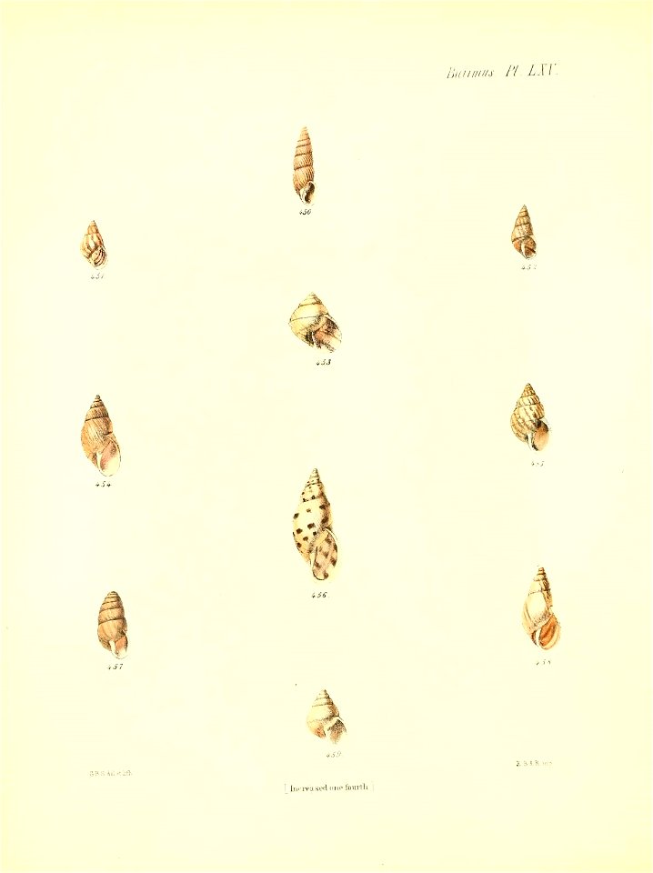 n269_w1150