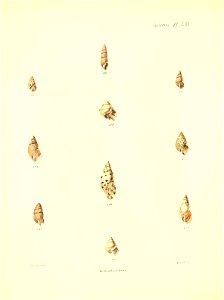 n269_w1150