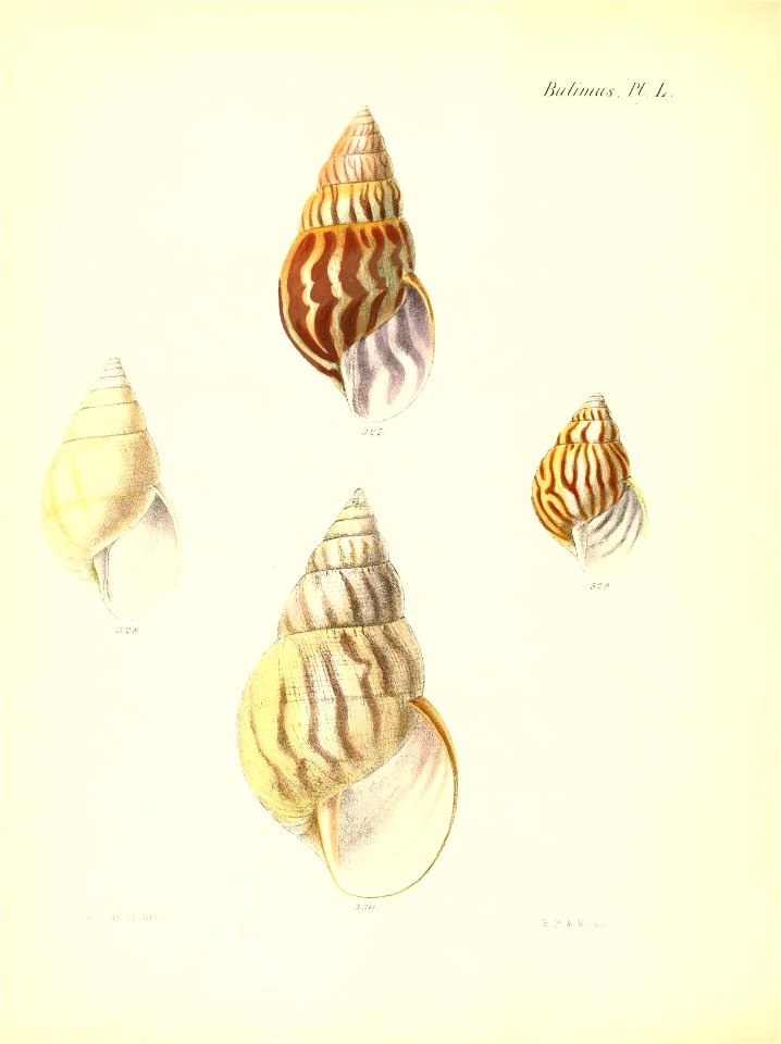 n209_w1150