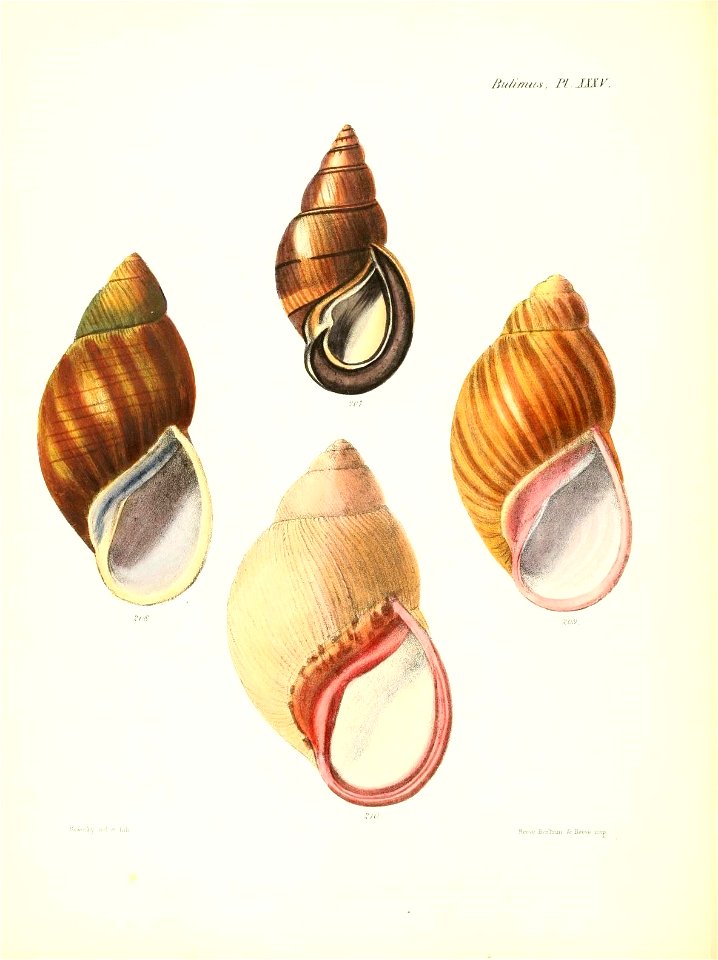 n149_w1150