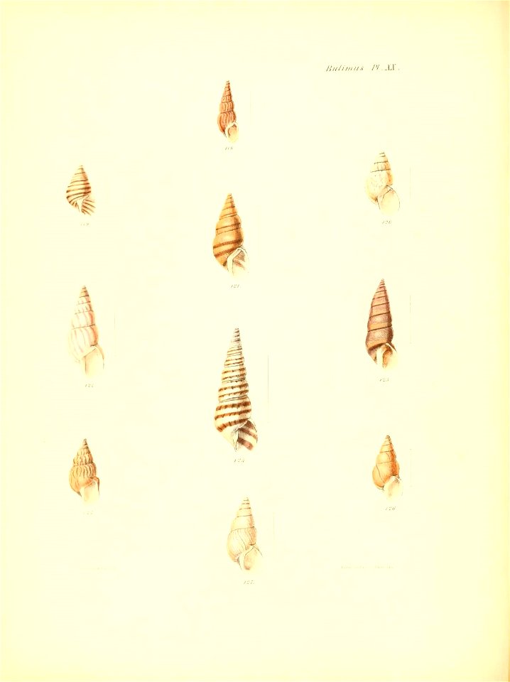 n89_w1150