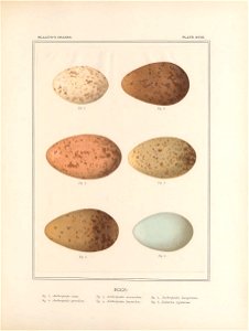 n118_w1150