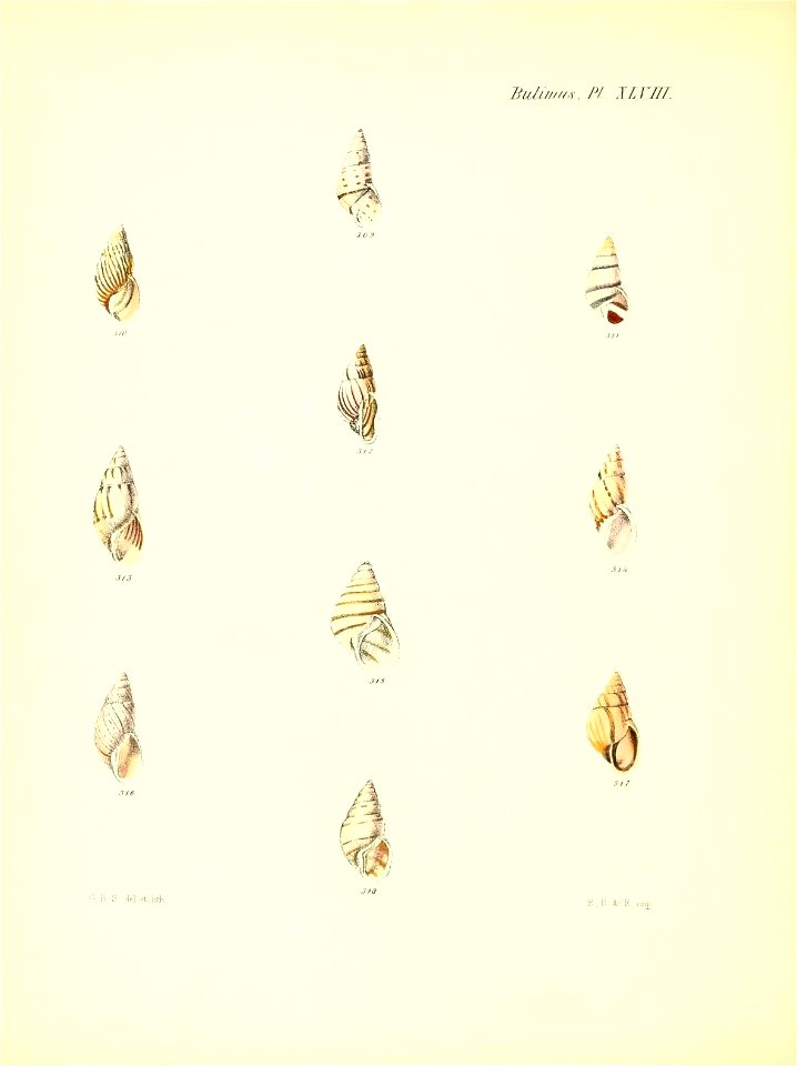 n201_w1150