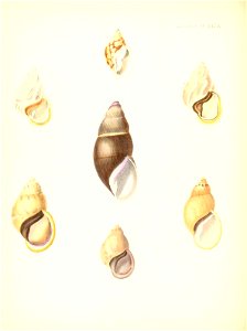 n141_w1150