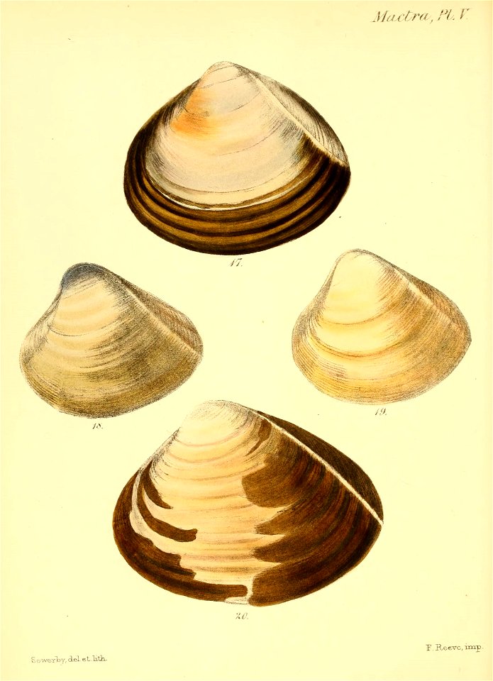 n175_w1150