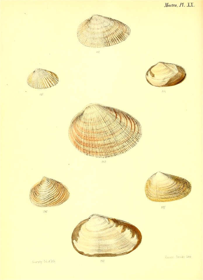 n235_w1150