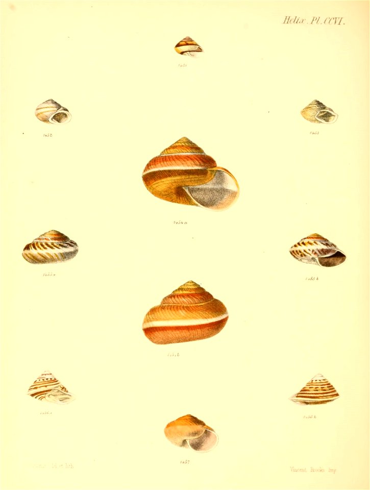 n859_w1150