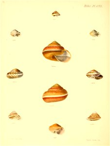 n859_w1150
