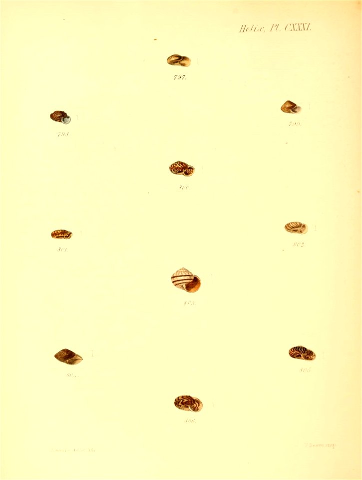 n543_w1150