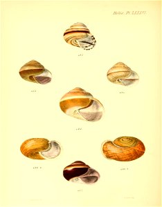 n351_w1150