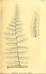 n152_w1150